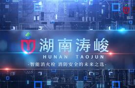 湖南濤峻 | 為消火栓裝上“智慧大腦”，守護(hù)城市安全！